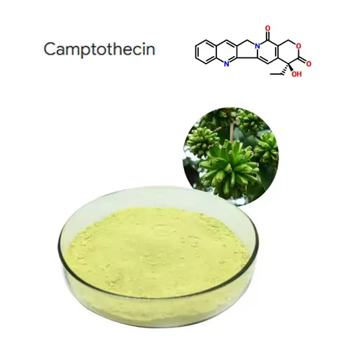 Magas tisztaság 98% kamptotecin növényi kivonat por CAS 7689-03-4